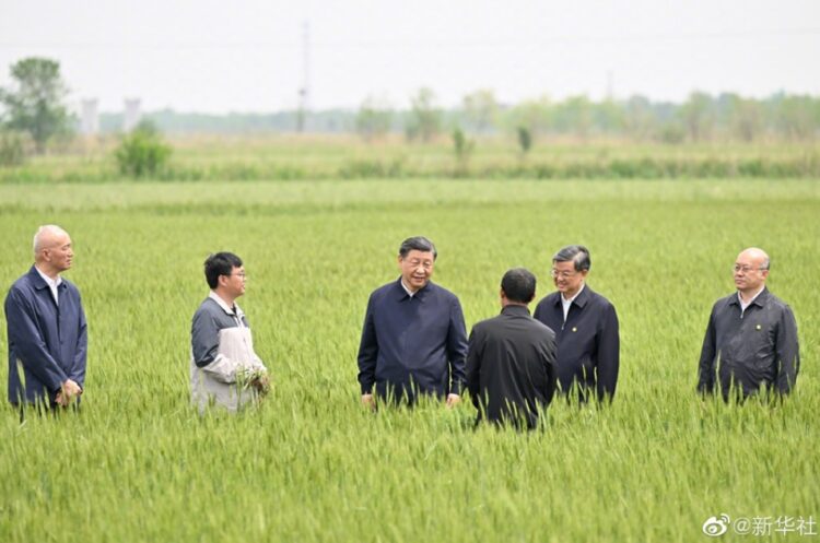 Xi Jinping’den tahıl ve enerji güvenliği vurgusu