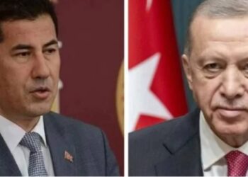 Erdoğan, Sinan Oğan ile görüştü