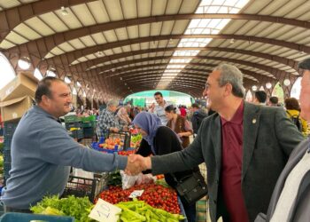 Tezcan Çine pazarından seslendi: “Süleyman Soylu gelsin Çine pazarını gezsin bakalım, kimmiş darbeci?”