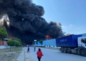 Manisa’daki geri dönüşüm tesisinde yangın