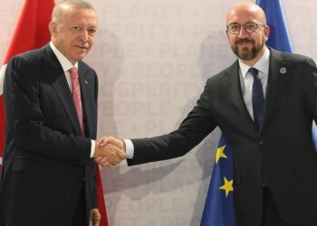 Erdoğan, Avrupa Konseyi Başkanı ile görüştü