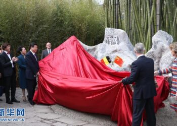 Xi, Belçikalı dost Eric Domb’a cevap yazdı