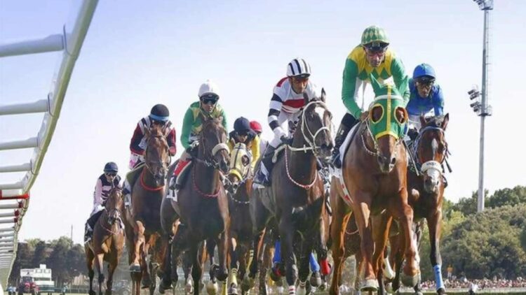 97. Gazi Koşusu’nun kazananı belli oldu