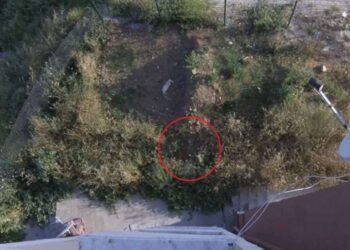 5 yaşındaki çocuk örümcek adama özenerek 5. kattan atladı