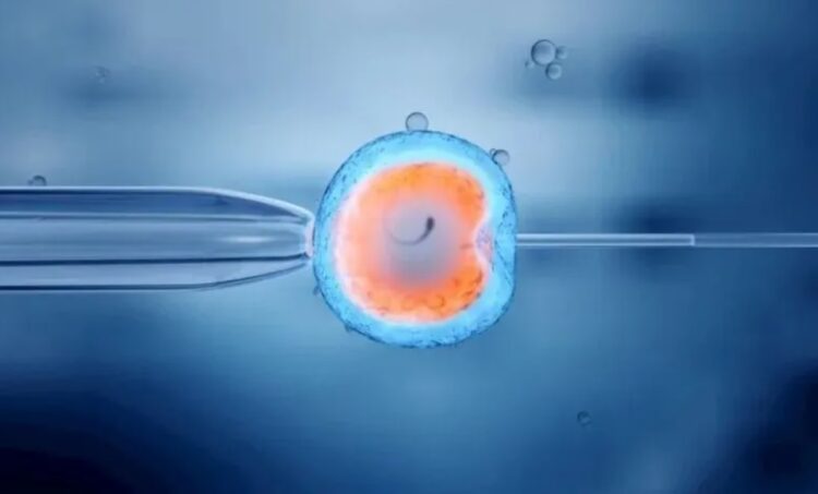 Sentetik insan embriyosu üretildi