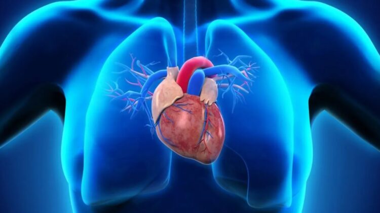 Menopozda kalp krizi riski nasıl azaltılır?