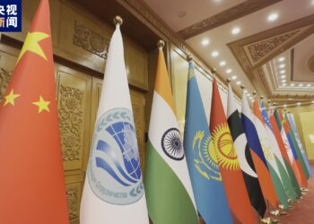 Xi Jinping, SİÖ Devlet Başkanları Konseyi’nin 23. Toplantısı’na katıldı