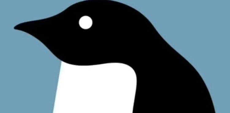 Bu optik illüzyon testi sosyal medyada gündem oldu