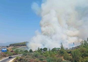 Bodrum’daki yangın büyüyor