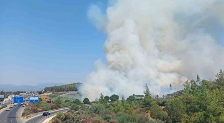 Bodrum’daki yangın büyüyor