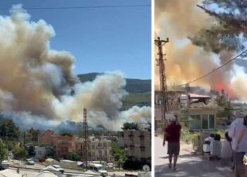 Hatay’da orman yangını!