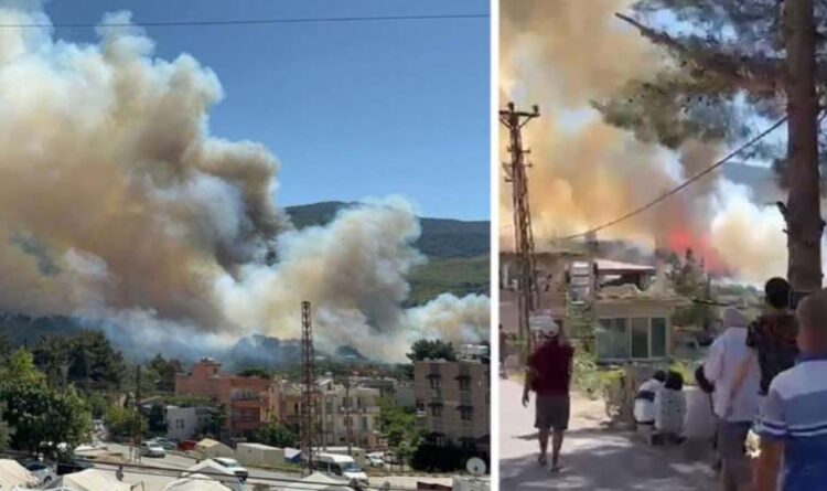 Hatay’da orman yangını!
