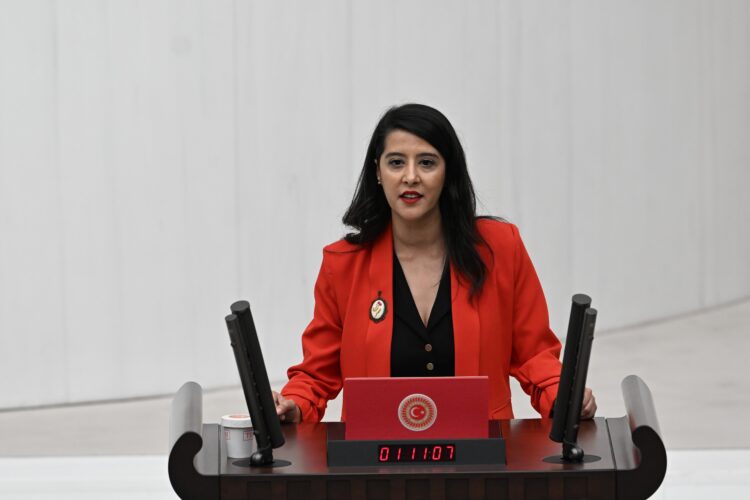 EMEP Milletvekili Karaca: ‘Rekor kârlar kazananlar servet vergisi ödesin’