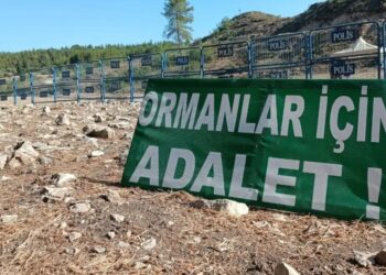 Akbelen’de ağaç kesimine direnen köylüler TBMM Genel Kurulu’nu izleyecek