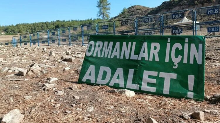 Akbelen’de ağaç kesimine direnen köylüler TBMM Genel Kurulu’nu izleyecek