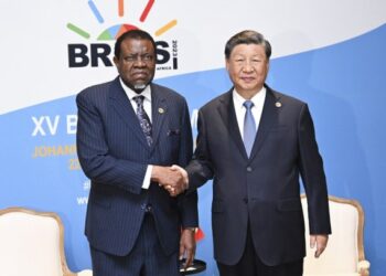 Xi: Namibya ile temiz enerji işbirliğini güçlendirmeye hazırız
