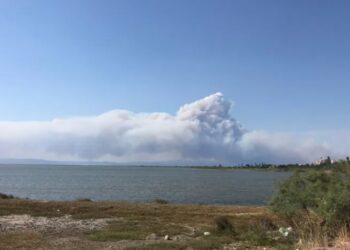 Yangın nedeniyle İpsala Sınır Kapısı’ndan çıkışlar durduruldu