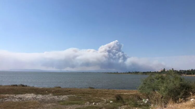 Yangın nedeniyle İpsala Sınır Kapısı’ndan çıkışlar durduruldu