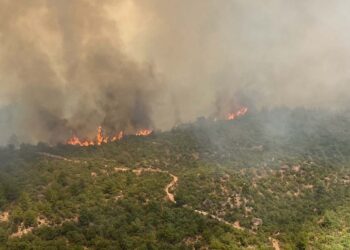 Çanakkale’de orman yangını! Köyler boşaltıldı…