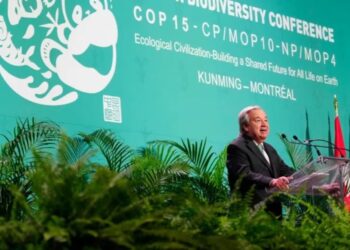 Türkiye ‘COP16’ ev sahipliğinden çekildi