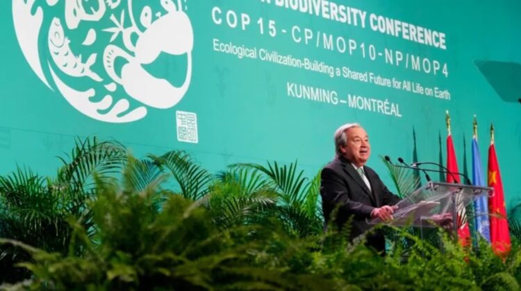 Türkiye ‘COP16’ ev sahipliğinden çekildi