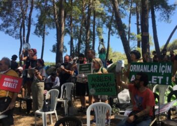 CHP Meclis’i Akbelen’deki ağaç katliamı için olağanüstü toplanmaya çağırdı