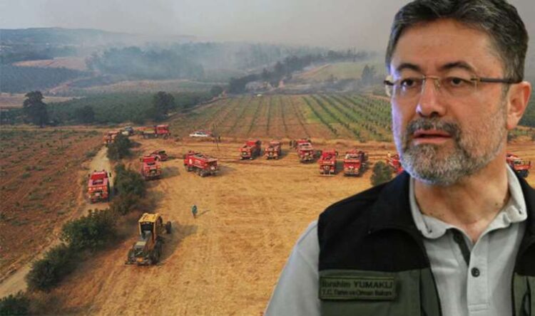 Çanakkale’deki orman yangını kontrol altına alındı!