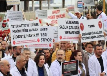 Veteriner hekimler greve çıkıyor!