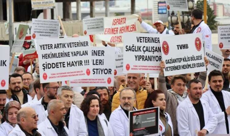 Veteriner hekimler greve çıkıyor!