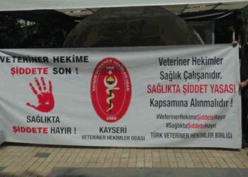 Veteriner hekimler şiddete karşı kliniklerini kapattı
