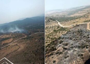 İzmir Aliağa’da orman yangını