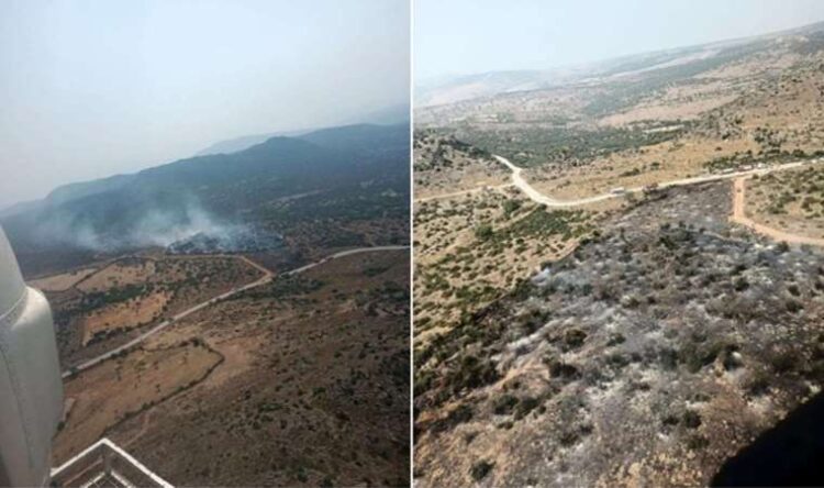 İzmir Aliağa’da orman yangını