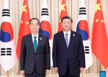 Xi, Güney Kore Başbakanı Han ile görüştü