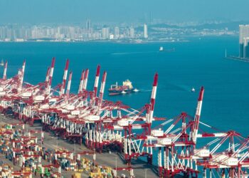 Xi, üst düzey pilot serbest ticaret bölgelerinin inşasına dikkat çekti