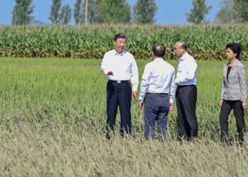 Xi, Çin’in Heilongjiang eyaletinde selden etkilenen köyleri ziyaret etti