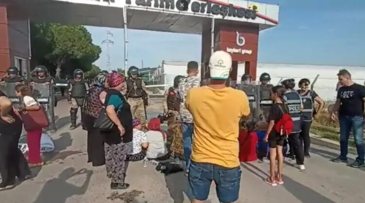 Sendikal hakları için direnen tarım işçilerine müdahale