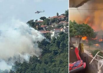 İstanbul Maltepe’de orman yangını