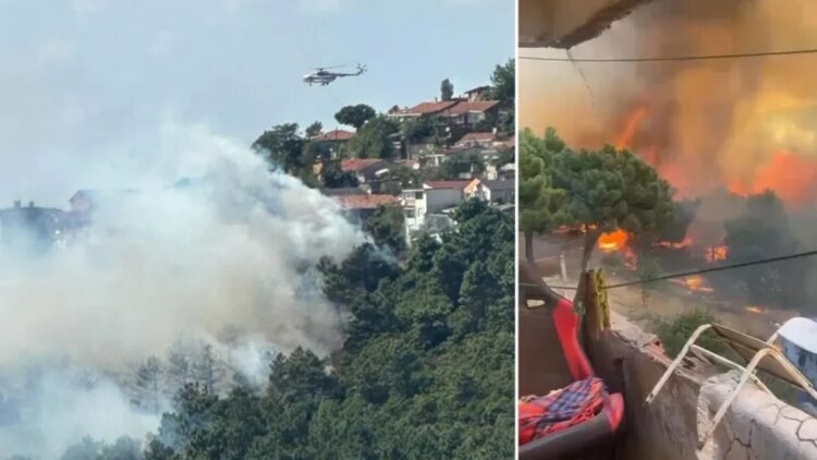 İstanbul Maltepe’de orman yangını