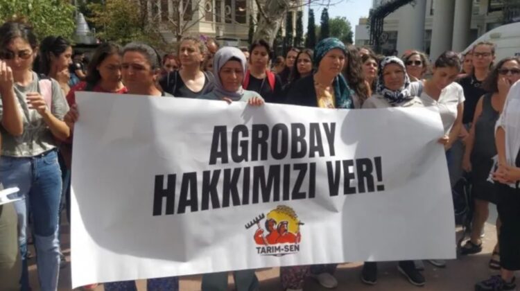İşçilerden Agrobay patronuna yanıt: Bizim çocuklarımız borçlu doğuyor