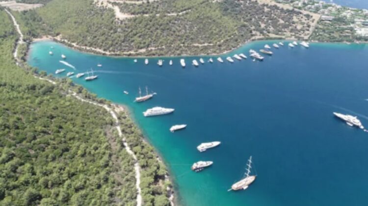 CHP ‘Cennet Koyu’ için Özelleştirme İdaresi Başkanlığı’na başvurdu