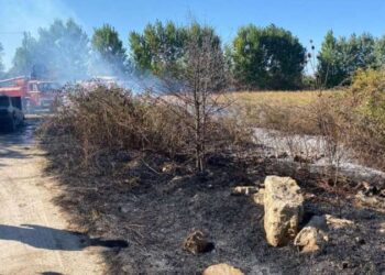 Amasya’da dehşet! Öldürdüğü kişiyi araçla birlikte yaktı!