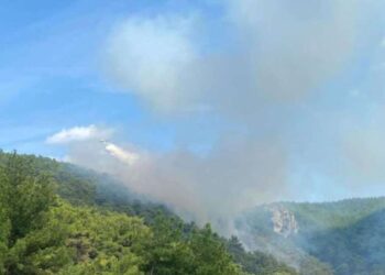 Çanakkale’de orman yangını…
