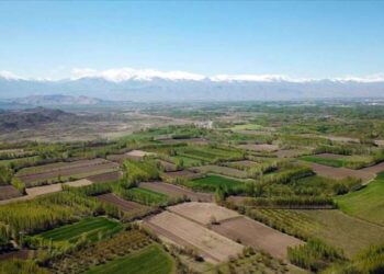 Miras sahipleri dikkat! İktidardan yeni düzenleme