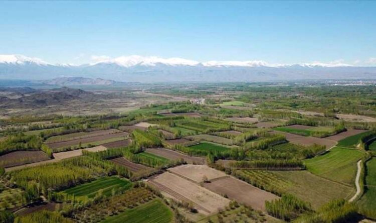 Miras sahipleri dikkat! İktidardan yeni düzenleme