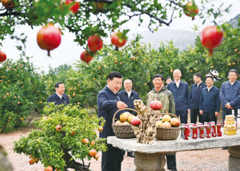 Xi’den Marksizm’in Çin bağlamına uyarlanmasında ilerleme çağrısı