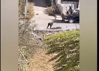 Filistin Devlet Başkanı Abbas’ın konvoyu vuruldu