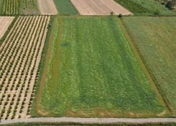 44 ilde arsa satışı… Kimler, nasıl başvuracak?