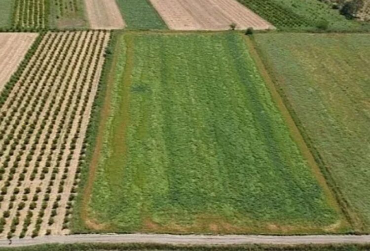 44 ilde arsa satışı… Kimler, nasıl başvuracak?