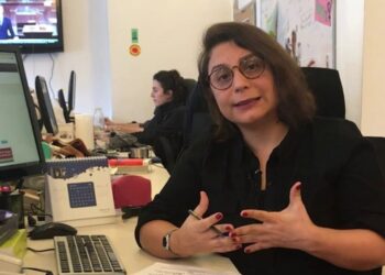 Gazeteci Evrim Kepenek’e de dezenformasyon soruşturması açıldı