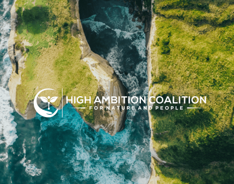 Çin, Doğa ve İnsanlık için Yüksek Hedef Koalisyonu’na katıldı